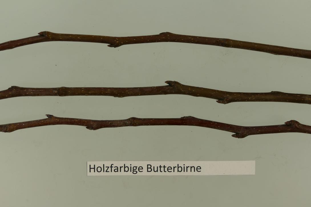 Holzfarbige Butterbirne