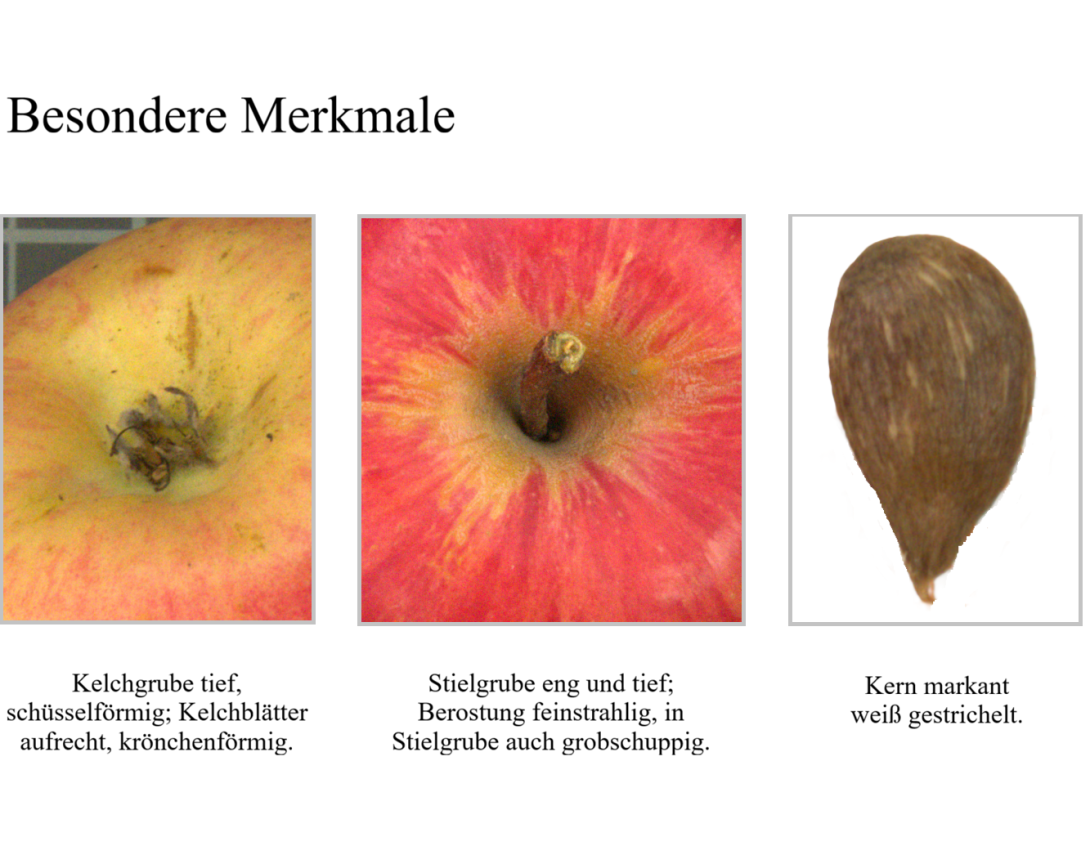 IDs: 1610, 1610 & 1610 bis 1611