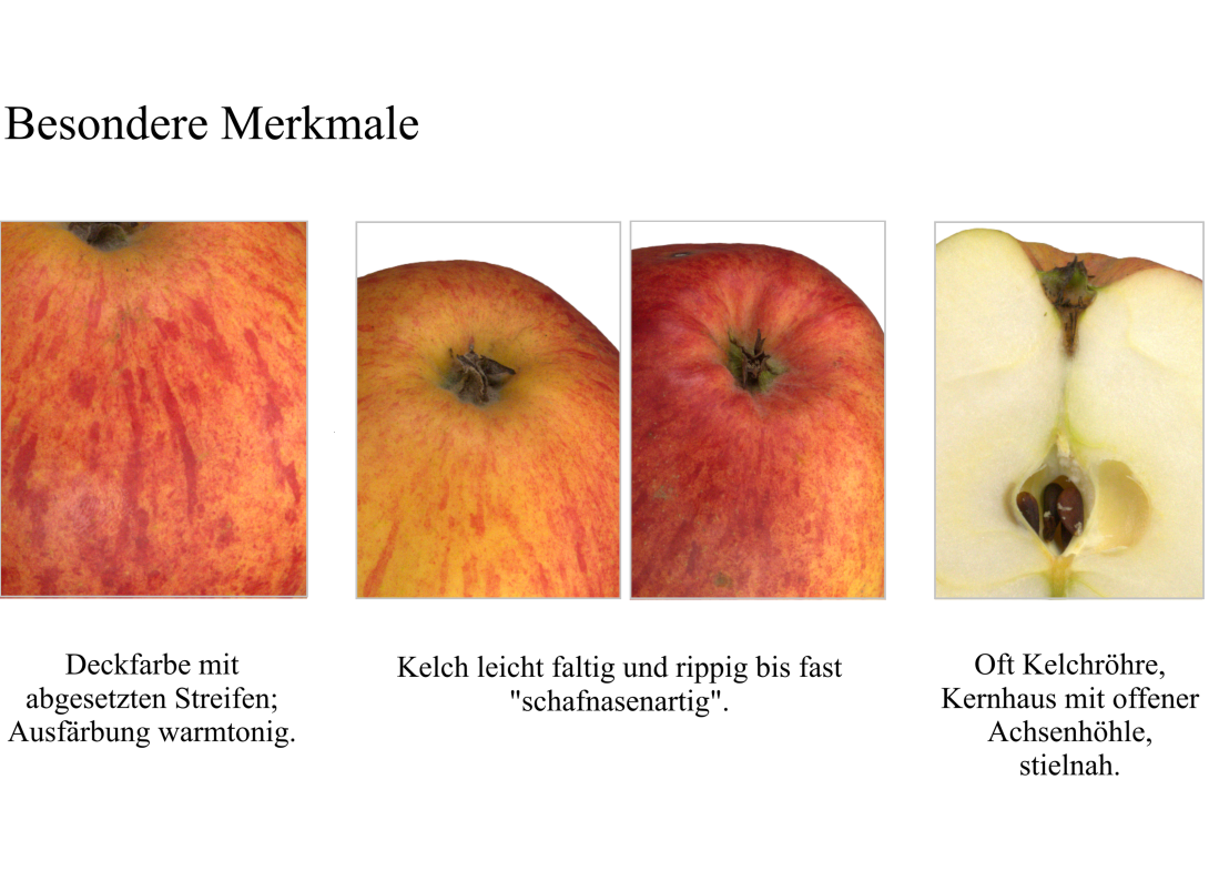 IDs: 195, 195, 193 & 193