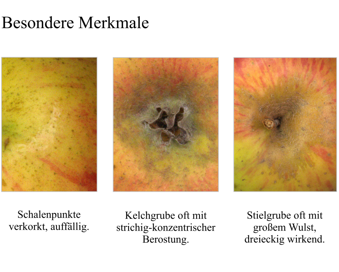 IDs: 1539, 1662 & 1662