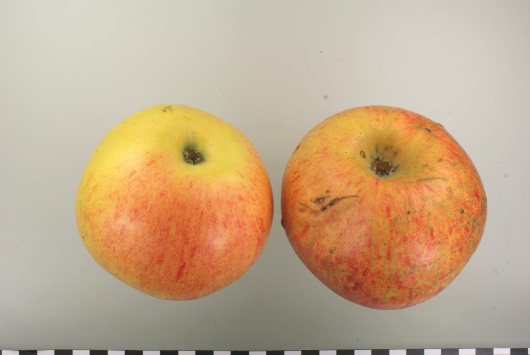 Peasgoods Sondergleichen Peasgoods Sondergleichen