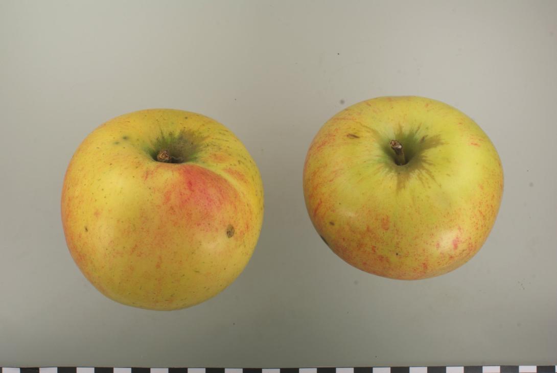 Peasgoods Sondergleichen Peasgoods Sondergleichen