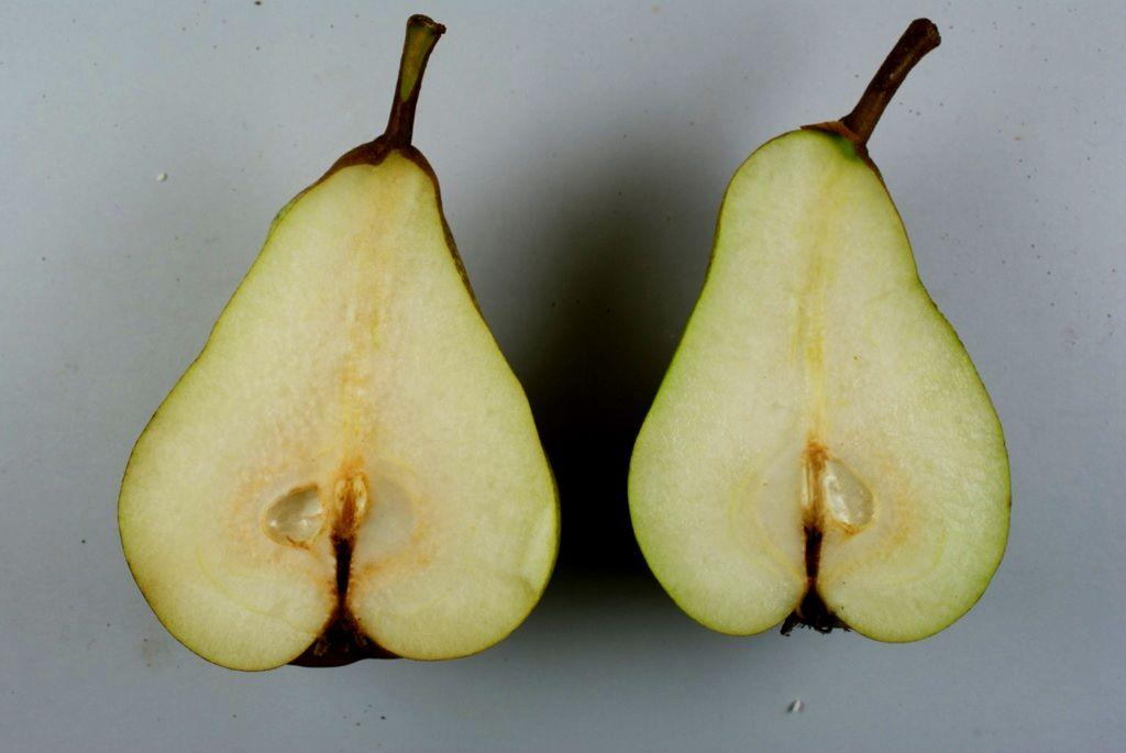 Andenken an den Kongreß