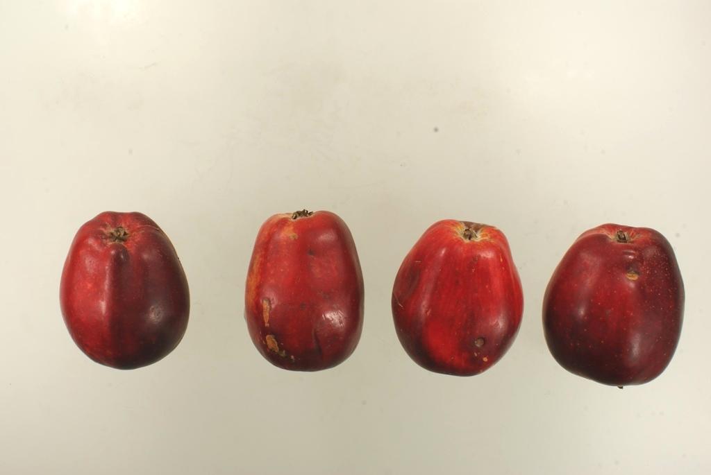 Roter Sommerparadies