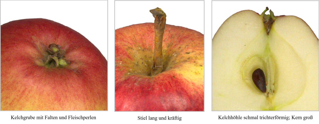 IDs: 648, 1538 & 647