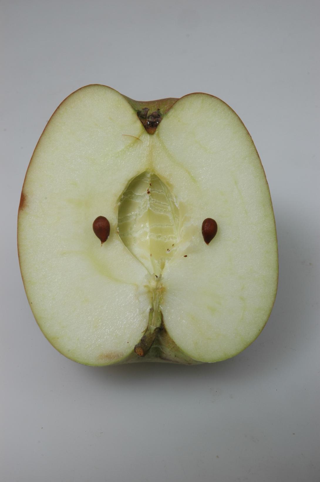 Extertaler - geschnittene Frucht