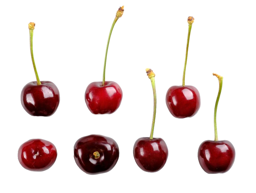 'Früheste der Mark' 