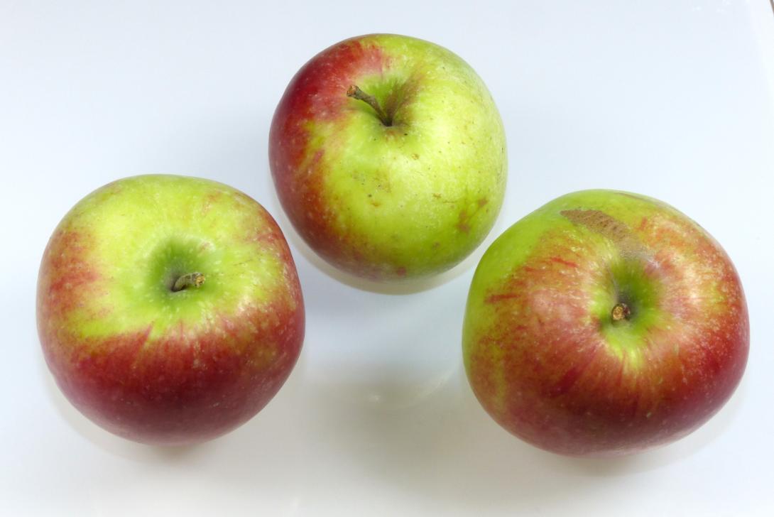 Friedberger Bohnapfel 3 Früchte Stiel