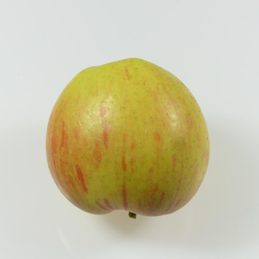 Hartapfel Profil Schattenfrucht