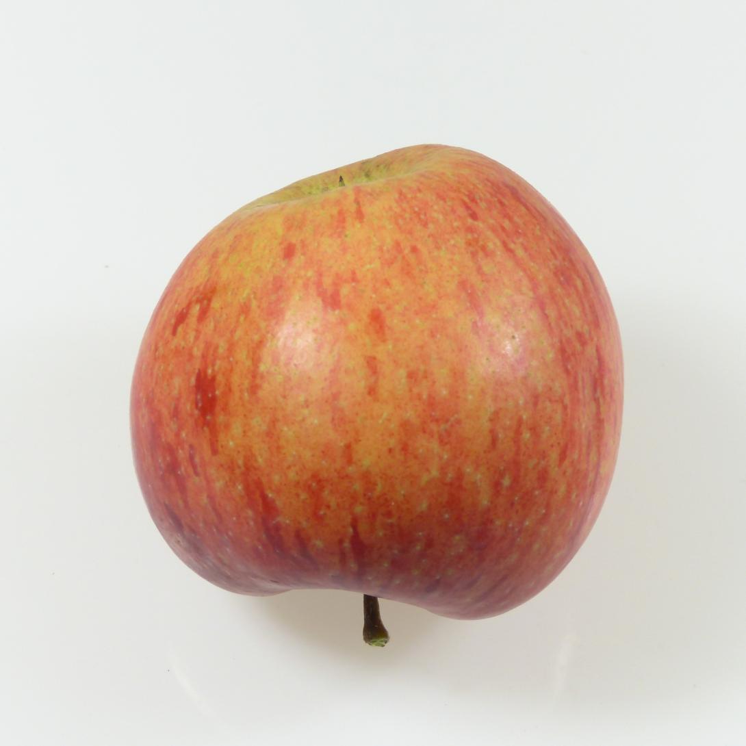 Hartapfel Profil Sonnenfrucht