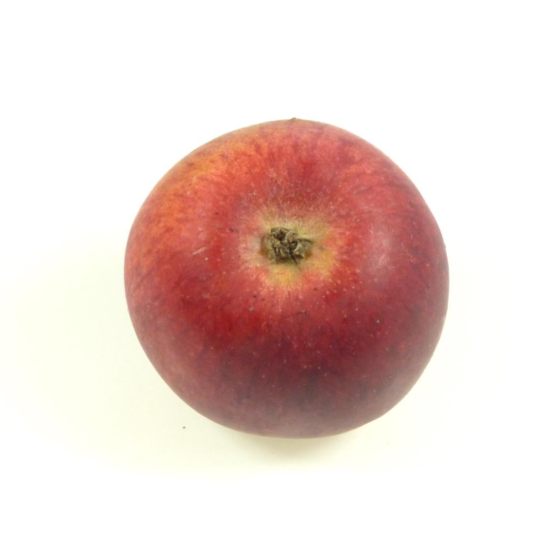 Großwallstädter Rosenapfel Kelch