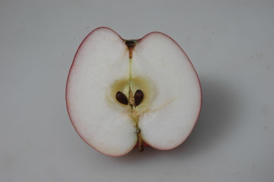 Lahder Pigeonette (geschnittene Frucht)