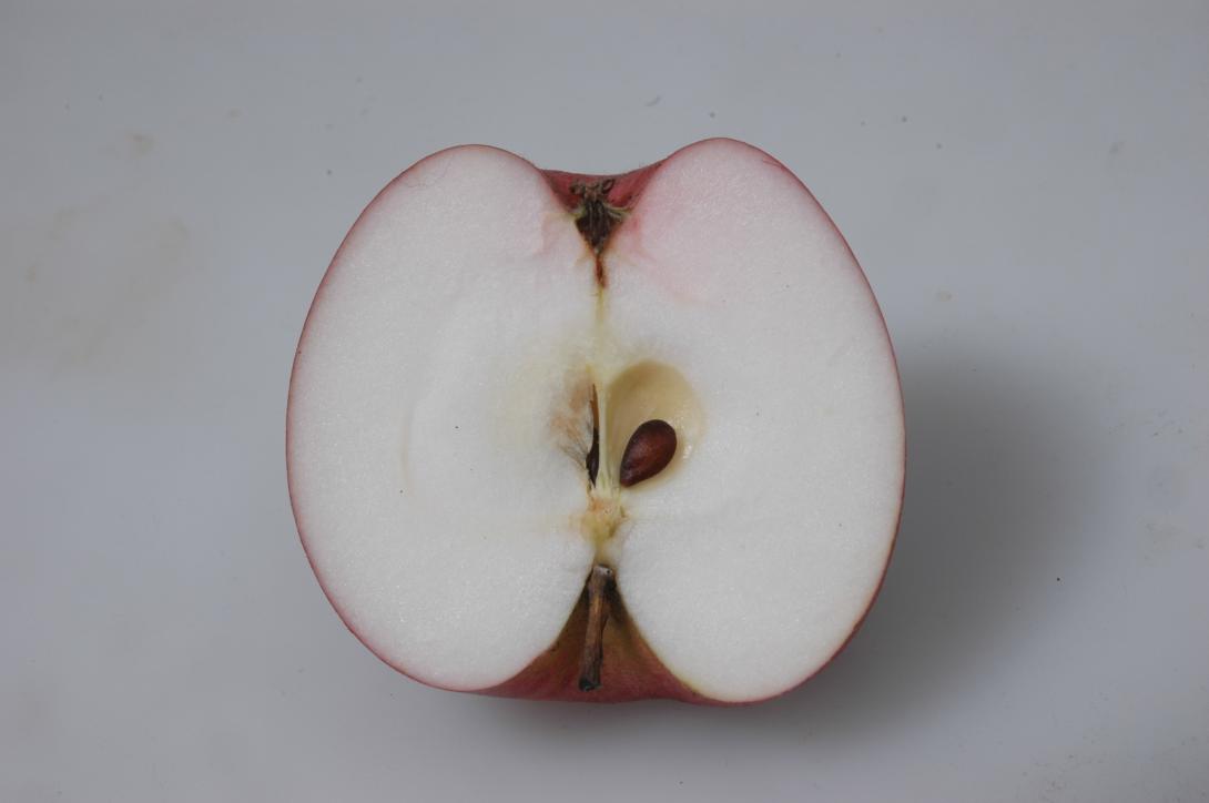 Lahder Pigeonette (geschnittene Frucht)