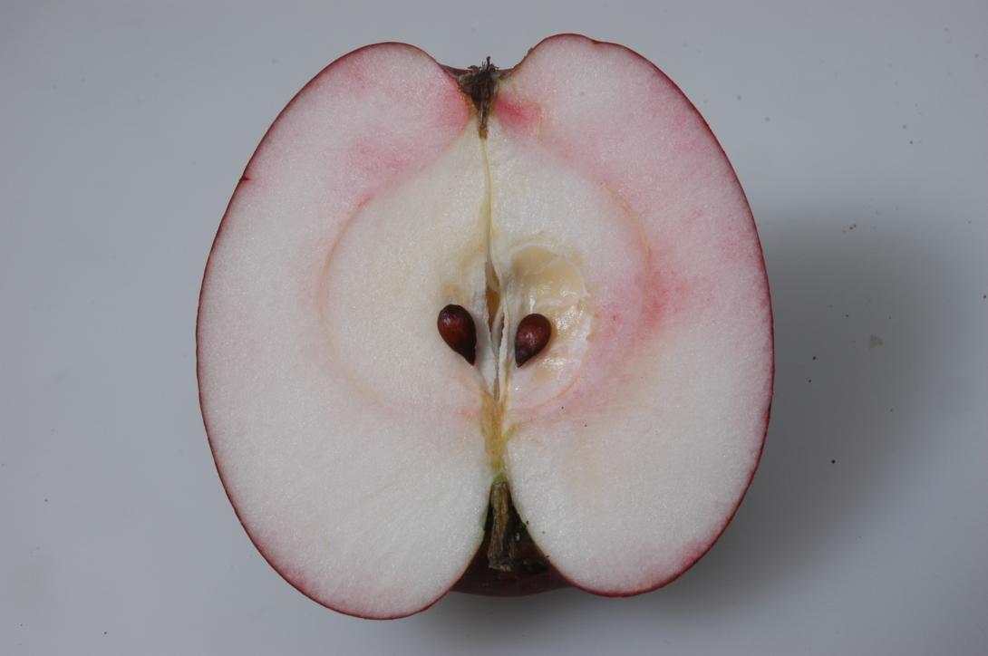 Lahder Pigeonette (geschnittene Frucht)