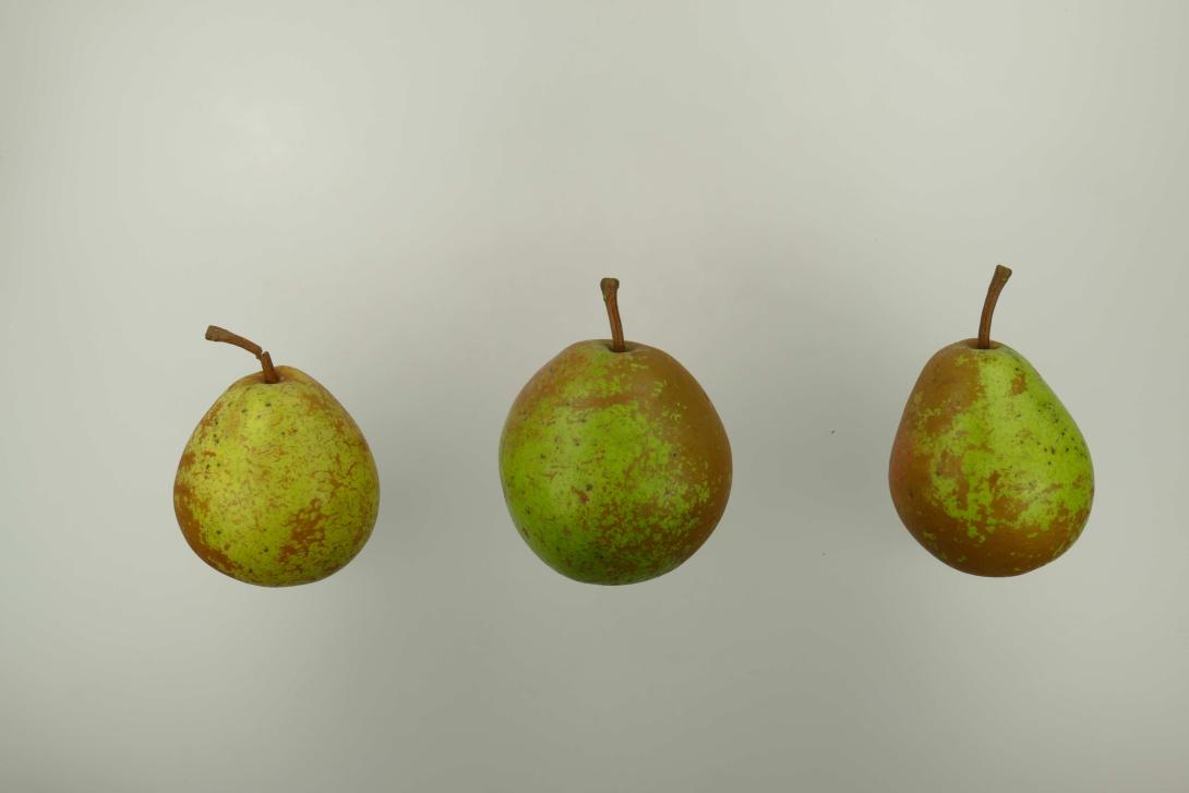 Holzfarbige Butterbirne