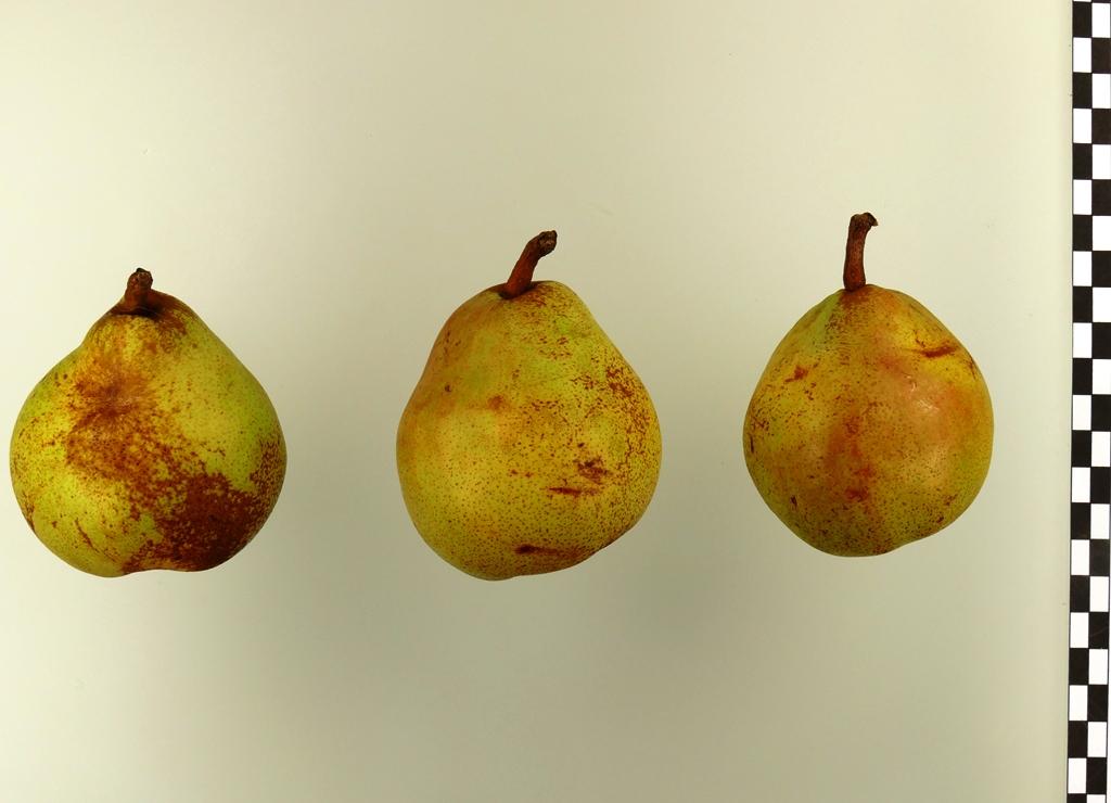 Vereinsdechantsbirne