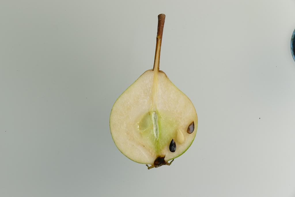 Frühe Schweizer Bergamotte