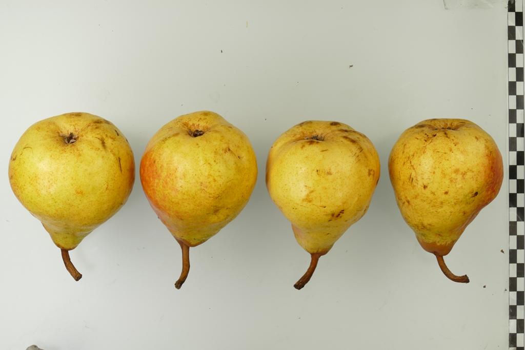 Andenken an den Kongreß