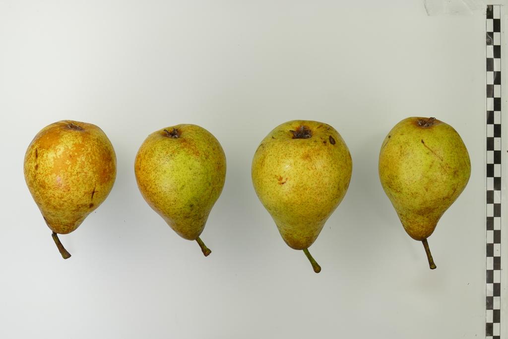 Rihas Kernlose Butterbirne