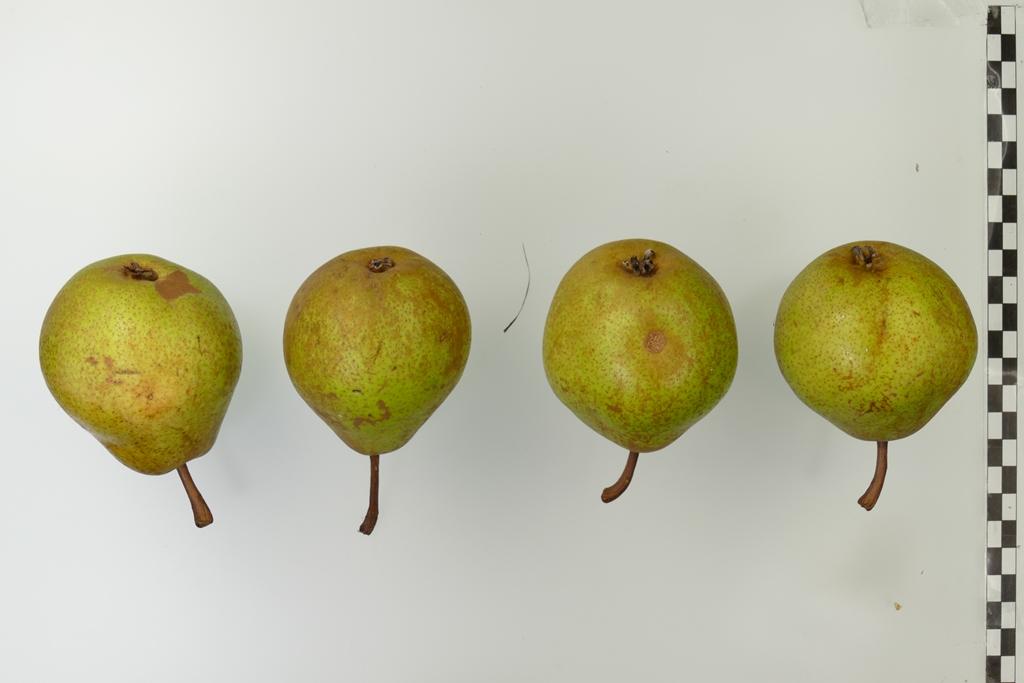 Rihas Kernlose Butterbirne