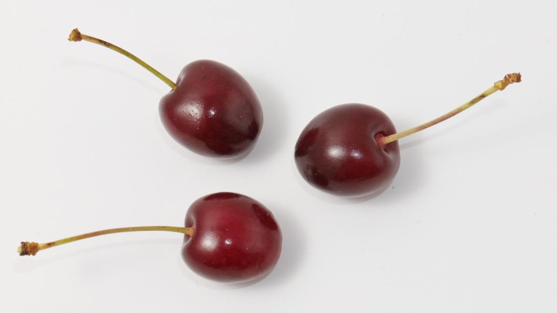 Frucht 'Coburger Maiherz'-Typ Sahlis-Kohren