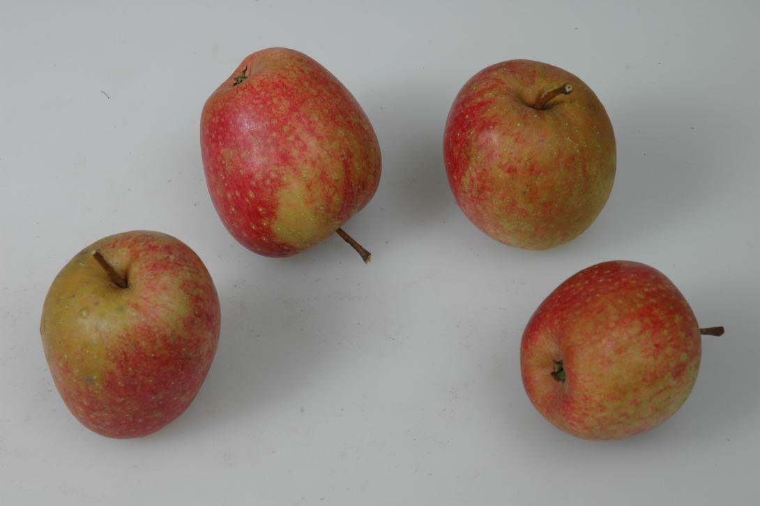 Prinzess Noble (Westfalen)