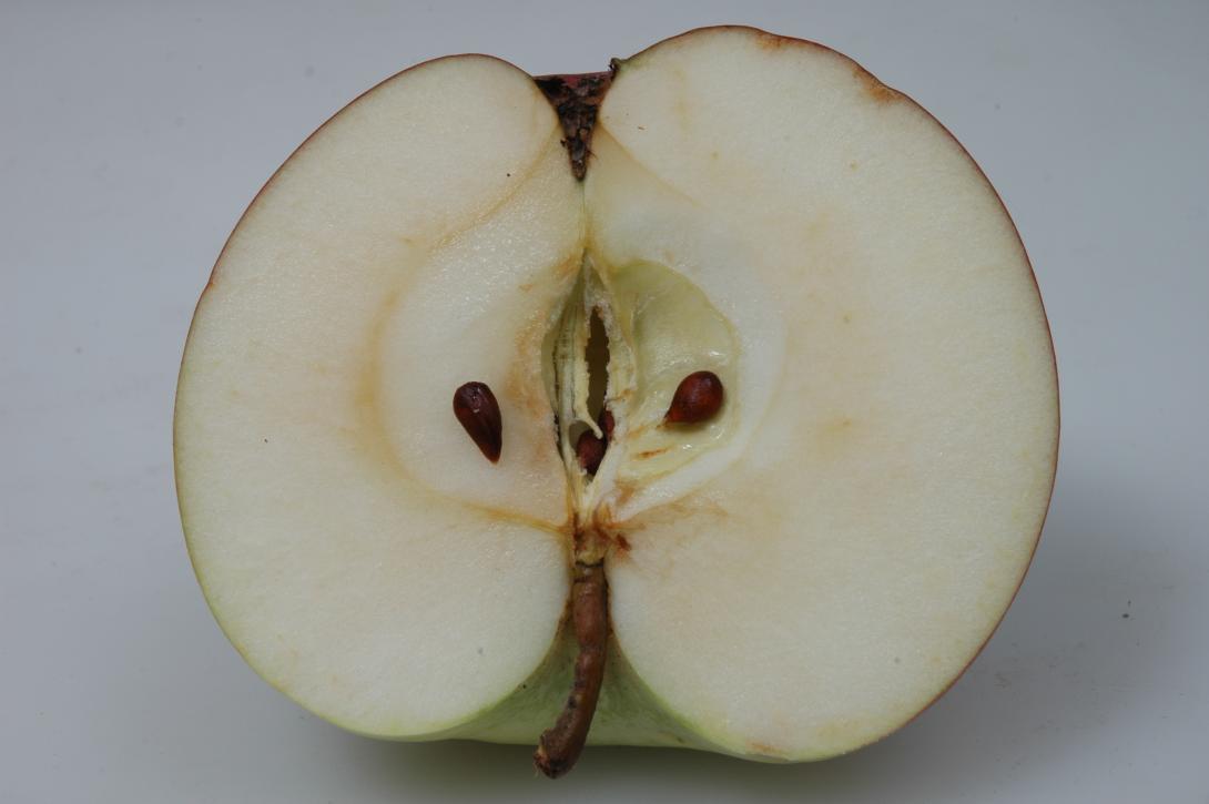 Schöner aus Oesdorf
