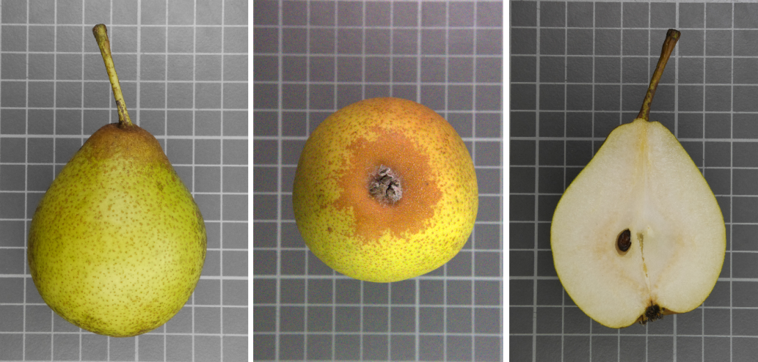 IDs: 206_1040210, 364_1050179, 206_1040214