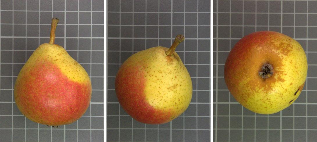 IDs: 758_1070680, 758_1070681, 758_1070683