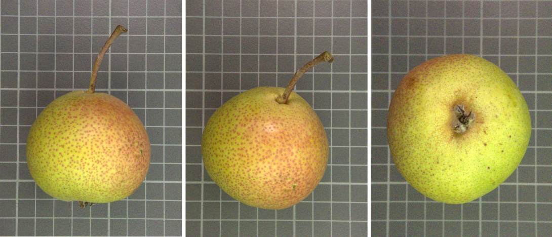 IDs: 737_1070524, 737_1070527, 737_1070528.