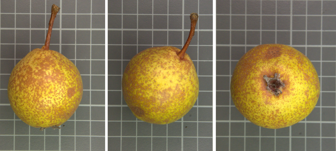 IDs: 789_1070866, IDs: 789_1070867, IDs: 789_1070868