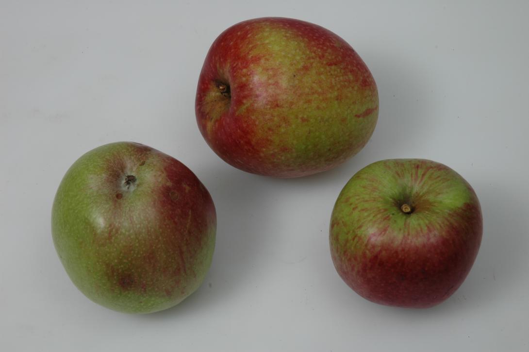 Extertaler