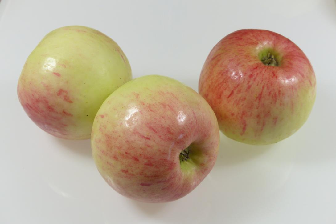 Heuchelheimer Schneeapfel Gruppe