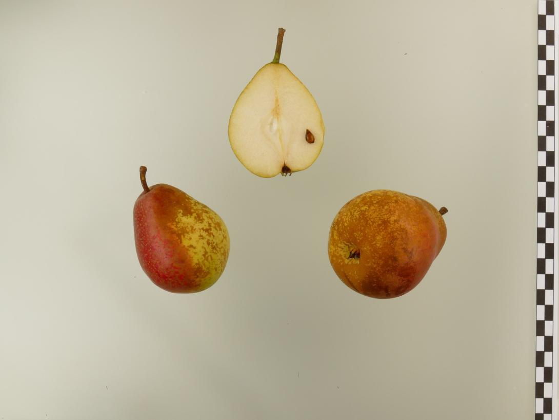 Holzfarbige Butterbirne