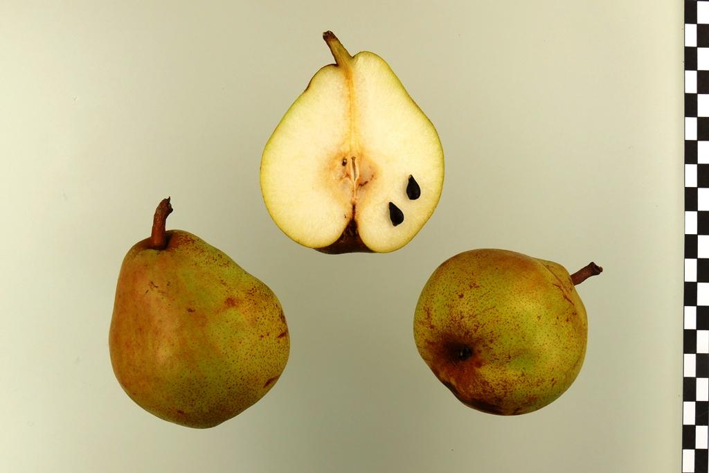 Vereinsdechantsbirne