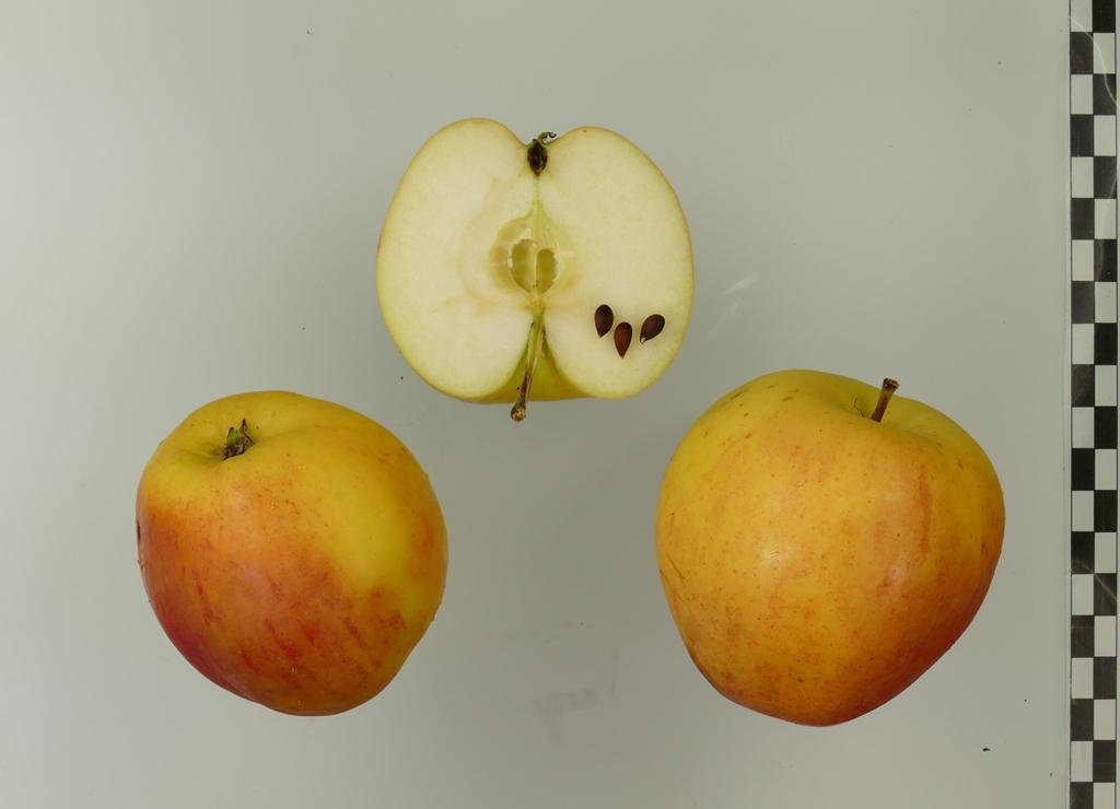 Finkenwerder Kantapfel