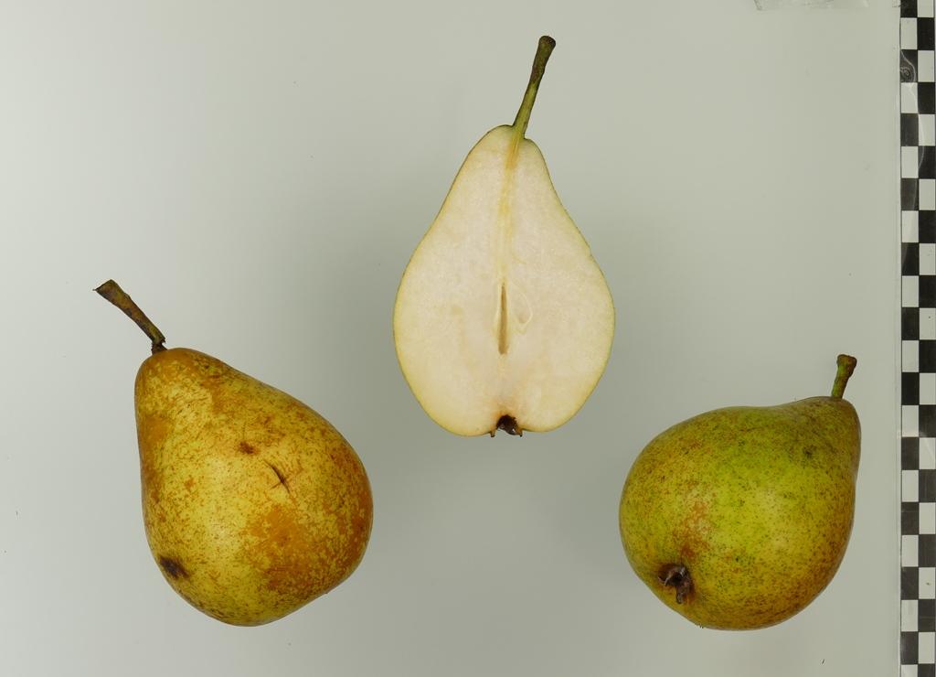 Rihas Kernlose Butterbirne